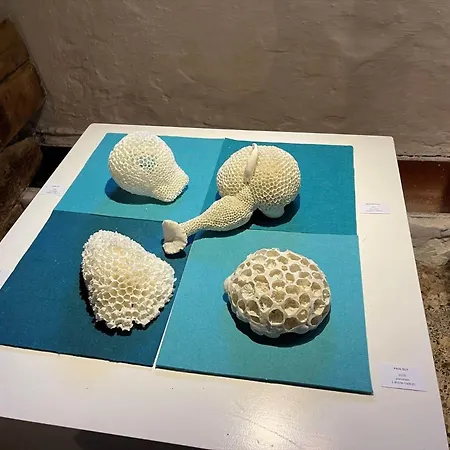 5532-hvide-sande-sonder-klitvej-84-2 *