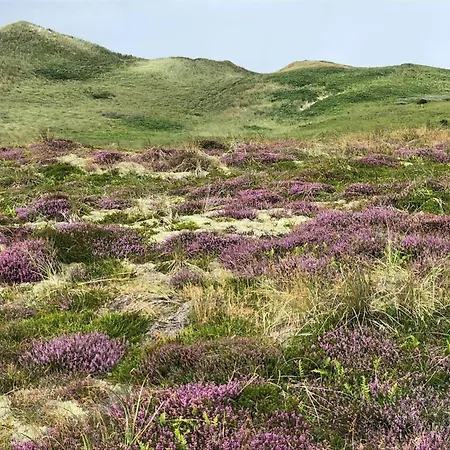 5532-hvide-sande-sonder-klitvej-84-2